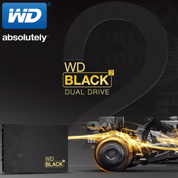 wd 02